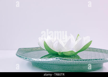 Fleur de lotus blanche dans un bol vert Banque D'Images