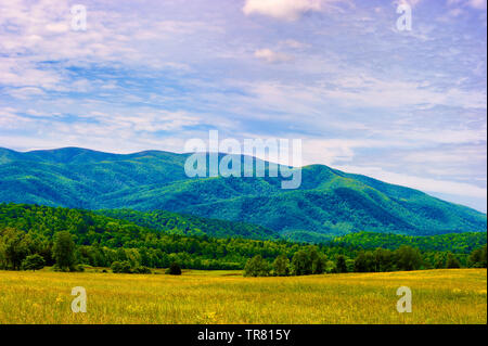 Vue panoramique sur les montagnes lointaines avec medow ouvert sous ciel nuageux dans la vallée de Cades Cove dans les Great Smoky Mountains. Banque D'Images