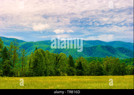 Vue panoramique sur les montagnes lointaines avec medow ouvert sous ciel nuageux dans la vallée de Cades Cove dans les Great Smoky Mountains. Banque D'Images