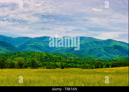 Vue panoramique sur les montagnes lointaines avec medow ouvert sous ciel nuageux dans la vallée de Cades Cove dans les Great Smoky Mountains. Banque D'Images