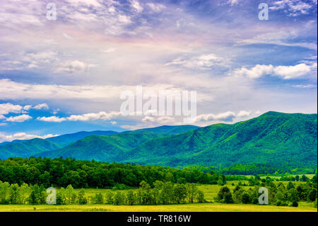 Vue panoramique sur les montagnes lointaines avec medow ouvert sous ciel nuageux dans la vallée de Cades Cove dans les Great Smoky Mountains. Banque D'Images