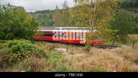 Un train rouge passant sur une piste à travers les bois. Banque D'Images