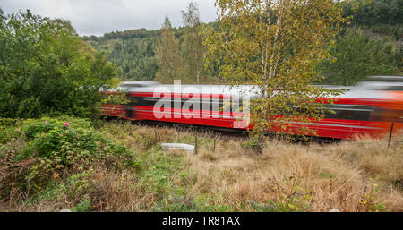 Un train rouge passant sur une piste à travers les bois. Banque D'Images