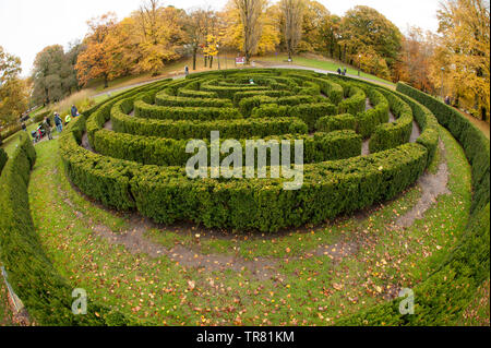 Vue grand angle d'un labyrinthe de couverture dans un parc. Banque D'Images