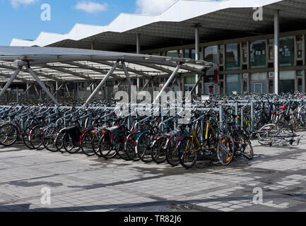 Sint Niklaas, Belgique, 05 mai 2019, l'engorgement des vélos à la gare de Sint Niklaas Banque D'Images