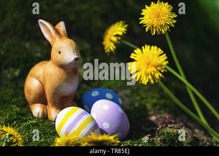 Lapin de Pâques avec des oeufs peints dans des couleurs différentes près d'un arbre avec la floraison des pissenlits Banque D'Images