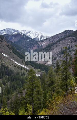 Sun Valley, Badger Canyon dans la Forêt Nationale des montagnes Sawtooth vues panorama paysage de Trail Creek Road, dans l'Idaho. United States. Banque D'Images