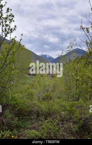 Sun Valley, Badger Canyon dans la Forêt Nationale des montagnes Sawtooth vues panorama paysage de Trail Creek Road, dans l'Idaho. United States. Banque D'Images