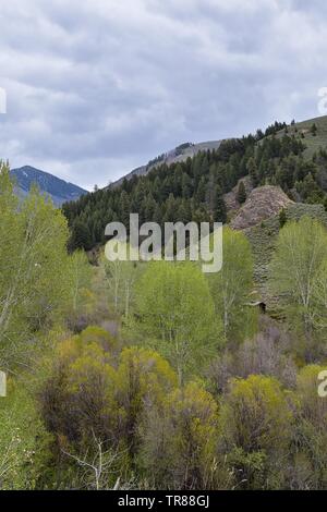 Sun Valley, Badger Canyon dans la Forêt Nationale des montagnes Sawtooth vues panorama paysage de Trail Creek Road, dans l'Idaho. United States. Banque D'Images