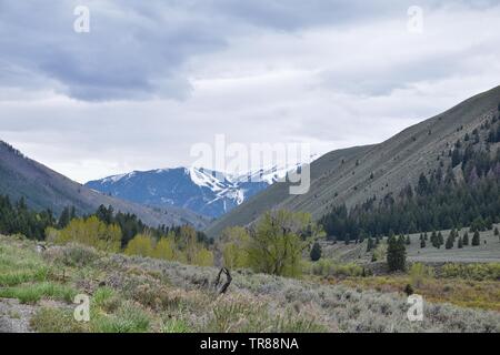 Sun Valley, Badger Canyon dans la Forêt Nationale des montagnes Sawtooth vues panorama paysage de Trail Creek Road, dans l'Idaho. United States. Banque D'Images