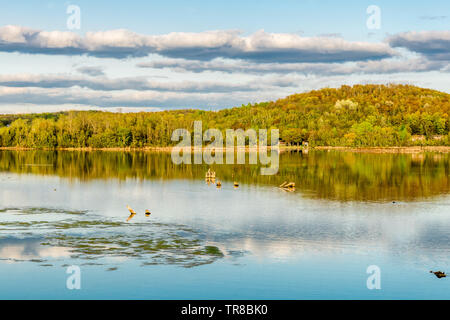 Lake Placid Lake Cottage montrant sur une journée ensoleillée d'été avec des plantes aquatiques sur la surface de l'eau Banque D'Images