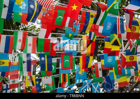 Drapeaux du monde,de petits drapeaux de différents pays, de petits drapeaux de différents pays s'étend entre palmiers Banque D'Images