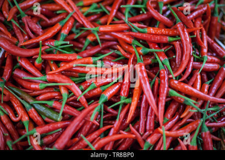 Poivron rouge,Mexican hot chili peppers colorful Banque D'Images