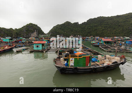 Baie de LAN HA, LE VIETNAM - février 2019 ; Village de pêcheurs flottant Banque D'Images