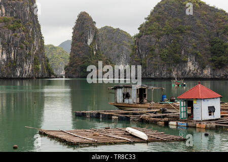 Baie de LAN HA, LE VIETNAM - février 2019 ; Village de pêcheurs flottant Banque D'Images