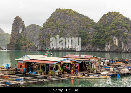 Baie de LAN HA, LE VIETNAM - février 2019 ; Village de pêcheurs flottant Banque D'Images