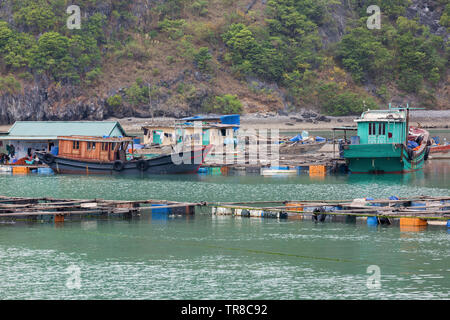 Baie de LAN HA, LE VIETNAM - février 2019 ; Village de pêcheurs flottant Banque D'Images