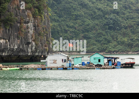 Baie de LAN HA, LE VIETNAM - février 2019 ; Village de pêcheurs flottant Banque D'Images