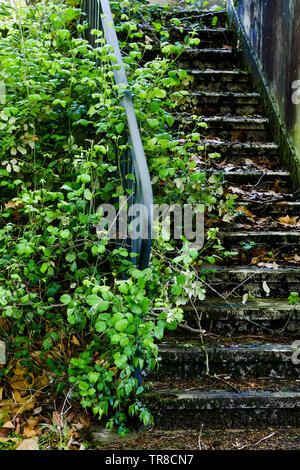 Printemps vue d'un jardin abandonné un homme mort house, Lyon, France Banque D'Images