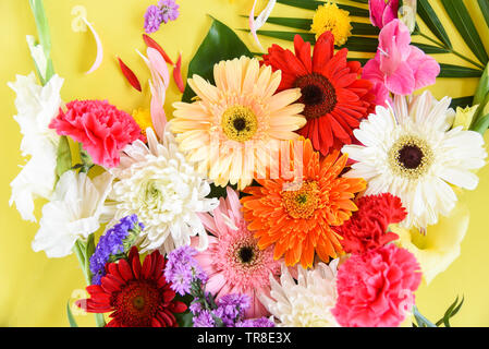 Fleurs de printemps frais gerbera plantes tropicales cadre coloré de fleurs chrysanthème et diverses feuilles vertes sur fond jaune - Télévision jeter vue supérieure Banque D'Images