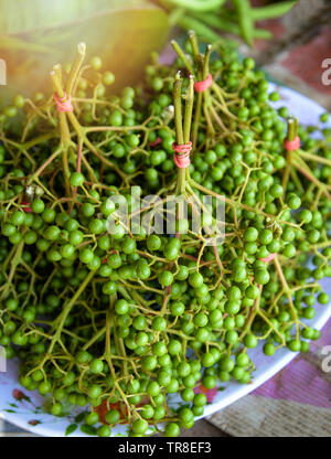 Fruits frais poivre de Sichuan pour la vente au marché local / Zanthoxylum piperitum le poivre de setchuan vert Asie Thaïlande Banque D'Images