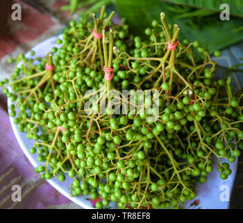 Fruits frais poivre de Sichuan pour la vente au marché local / Zanthoxylum piperitum le poivre de setchuan vert Asie Thaïlande Banque D'Images