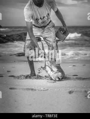 Les pêcheurs locaux, fiers de présenter l'une de ses captures de la journée, la pêche de la côte. Banque D'Images