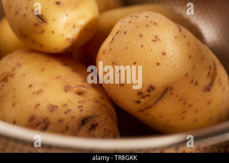 Ensemble de matières premières pommes de terre Yukon Gold Banque D'Images