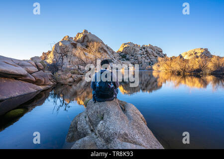 Joshua Tree National Park Banque D'Images