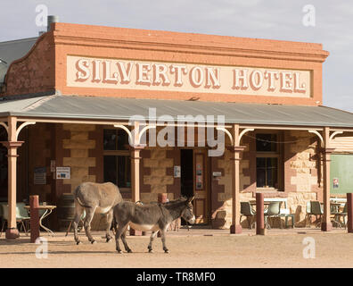 Ville fantôme Silverton dans l'Outback de la Nouvelle-Galles du Sud et l'hôtel Silverton avec les ânes résidents de la ville. Banque D'Images