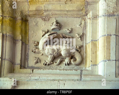 Bas relief d'une salamandre symbolisant François 1er dans le plafond en caisson au Château de Chambord, Loir et cher, Val de Loire, France Banque D'Images