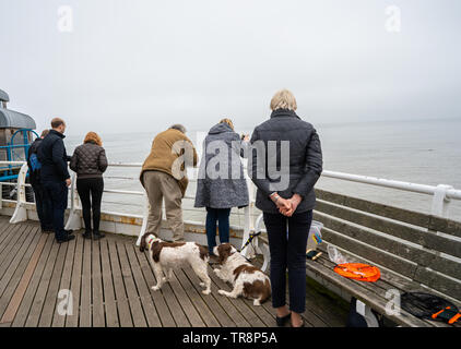 Cromer, Norfolk, Royaume-Uni. 19 mai 2019. Un groupe familial, de tous âges et générations, essayant d'attraper des crabes au large de la jetée pendant deux foie et épagneuls blanc Banque D'Images