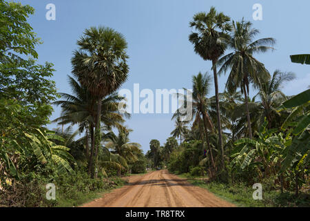 Route de gravier à travers la jungle sur la façon de Tonle Sap, Battambang, Cambodge Banque D'Images