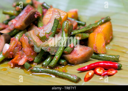 Plat traditionnel authentique Philippines Philippines : ginataan porc avec du riz et des oeufs Banque D'Images