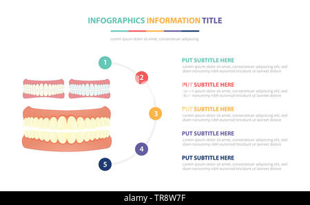 La ou les dents humaines infographic template concept avec cinq points liste et différentes couleurs, lignes modernes fond blanc - vector illustration Banque D'Images