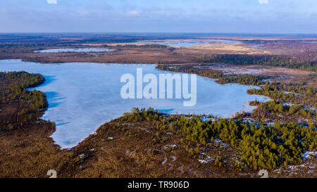 Lac gelé en estonien bog Banque D'Images