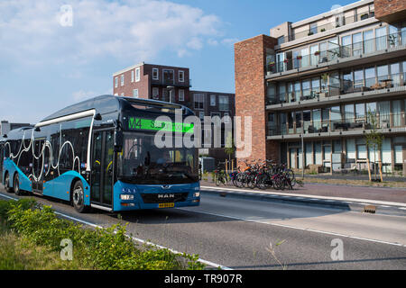 Almere, près d'Amsterdam est la plus communauté croissante en Hollande. Banque D'Images