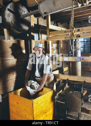 Miller traditionnels à Houghton Mill, Cambridgeshire, Angleterre, RU Banque D'Images