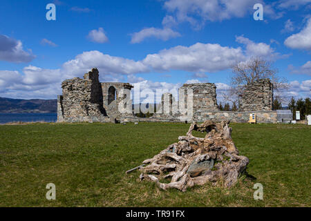 Ruines de l'abbaye de Tautra Tautra dans l'île sur Trondheimsfjorden. Le printemps et les beaux jours. Banque D'Images