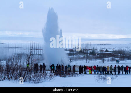 L'éruption du geyser Strokkur hors de la terre au champ géothermique de Geysir Hot Springs, partie du cercle d'or de l'Islande. Banque D'Images