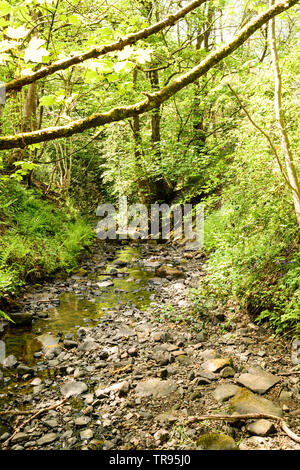 Volet rural qui traverse une vallée boisée. Banque D'Images