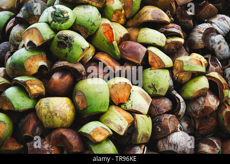 Un tas de coquilles de noix de coco vert et brun, background Banque D'Images