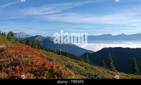 Matin ensoleillé dans les montagnes avec une vue magnifique sur les alpes et le brouillard dans la vallée Banque D'Images