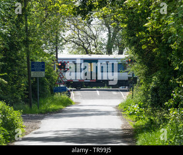 Train passant sur le passage à niveau à travers des arbres Milton Cambridge 2019 Banque D'Images