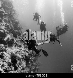 Les plongeurs sous l'eau autour de récifs coralliens, Tarpon Cayes, Belize Barrier Reef, Lighthouse Reef, Belize Banque D'Images