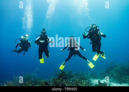 Les plongeurs sous-marin, Joe's Wall, Turneffe Atoll, BELIZE, Belize Barrier Reef Banque D'Images