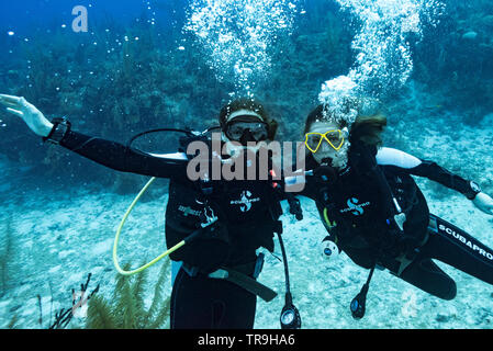 Les plongeurs sous l'eau, trois Amigos, Turneffe Atoll, BELIZE, Belize Barrier Reef Banque D'Images
