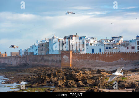 Vue panoramique exceptionnelle d'Essaouira remparts antenne dans Essaouira, Maroc. Banque D'Images