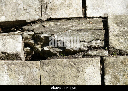Mur en pierres naturelles ou en briques avec amour égaré photographié dans un parc en Allemagne Banque D'Images
