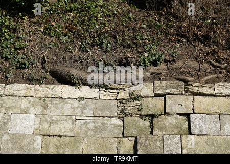 Mur en pierres naturelles ou en briques avec amour égaré photographié dans un parc en Allemagne Banque D'Images